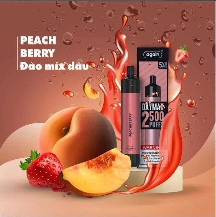 Again DAYMAX Disposable Vape 2500Puffs Peach Berry Flavour