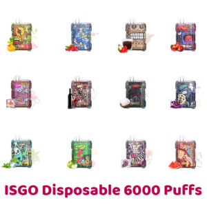 ISGO Disposable Vape 6000 Puffs in Dubai UAE