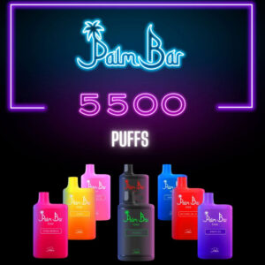 PALM BAR 5500 Puffs Disposable Vape in Dubai UAE