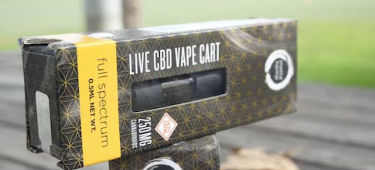 How Long Should I Charge My Disposable Vape - Vape Dubai | Buy Vape