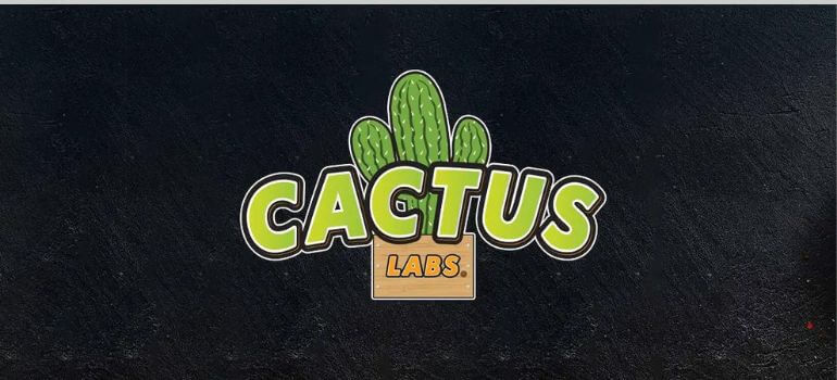 cactus labs vape how to use 2 Vape Dubai | Buy Vape Online in UAE - SmokeFree